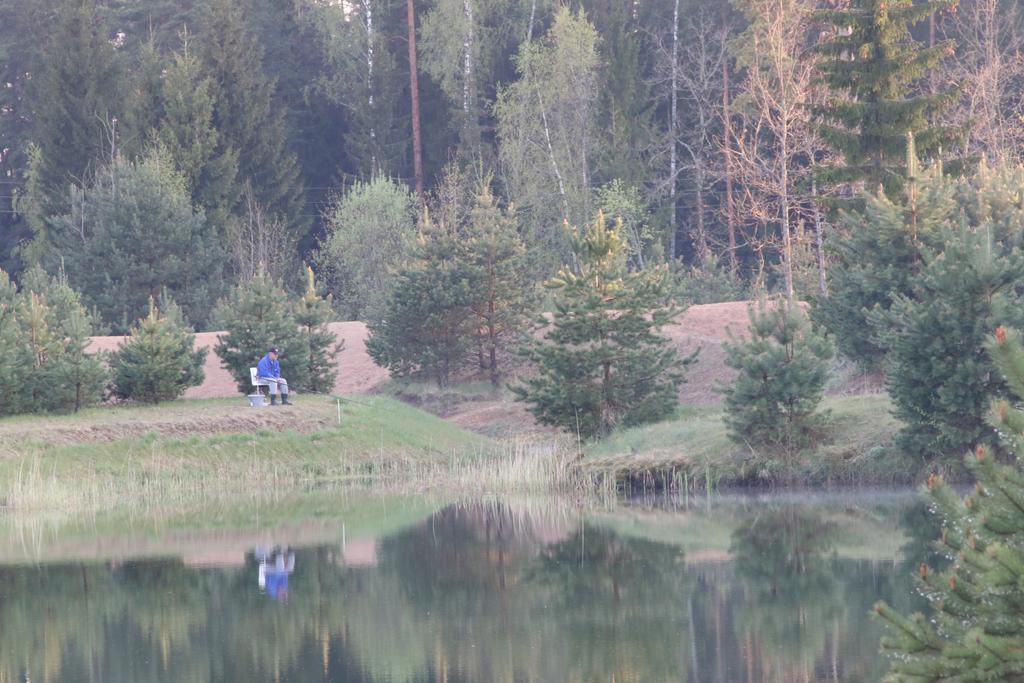 Viesu Maja Forrest Villa Dzimtmisa Dış mekan fotoğraf