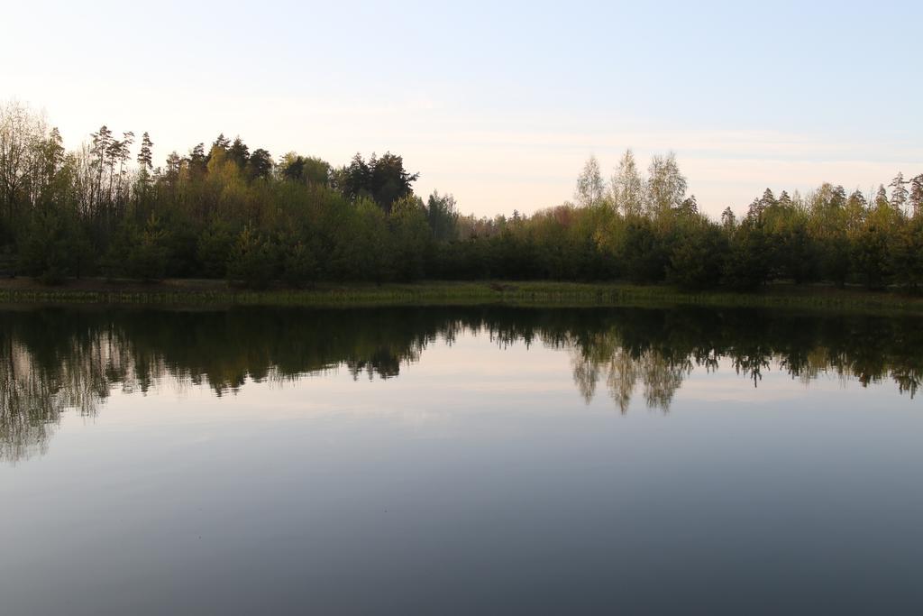 Viesu Maja Forrest Villa Dzimtmisa Dış mekan fotoğraf
