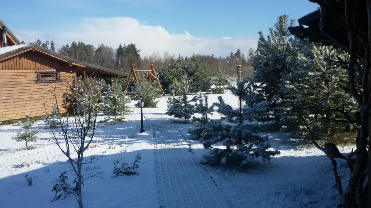 Viesu Maja Forrest Villa Dzimtmisa Dış mekan fotoğraf